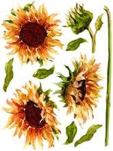 Painterly Floral IOD Transfer Pad with (8) 12 X 16 Sheets by Iron Orchid Designs Rub-On Furniture Transfer Decal