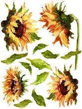 Painterly Floral IOD Transfer Pad with (8) 12 X 16 Sheets by Iron Orchid Designs Rub-On Furniture Transfer Decal