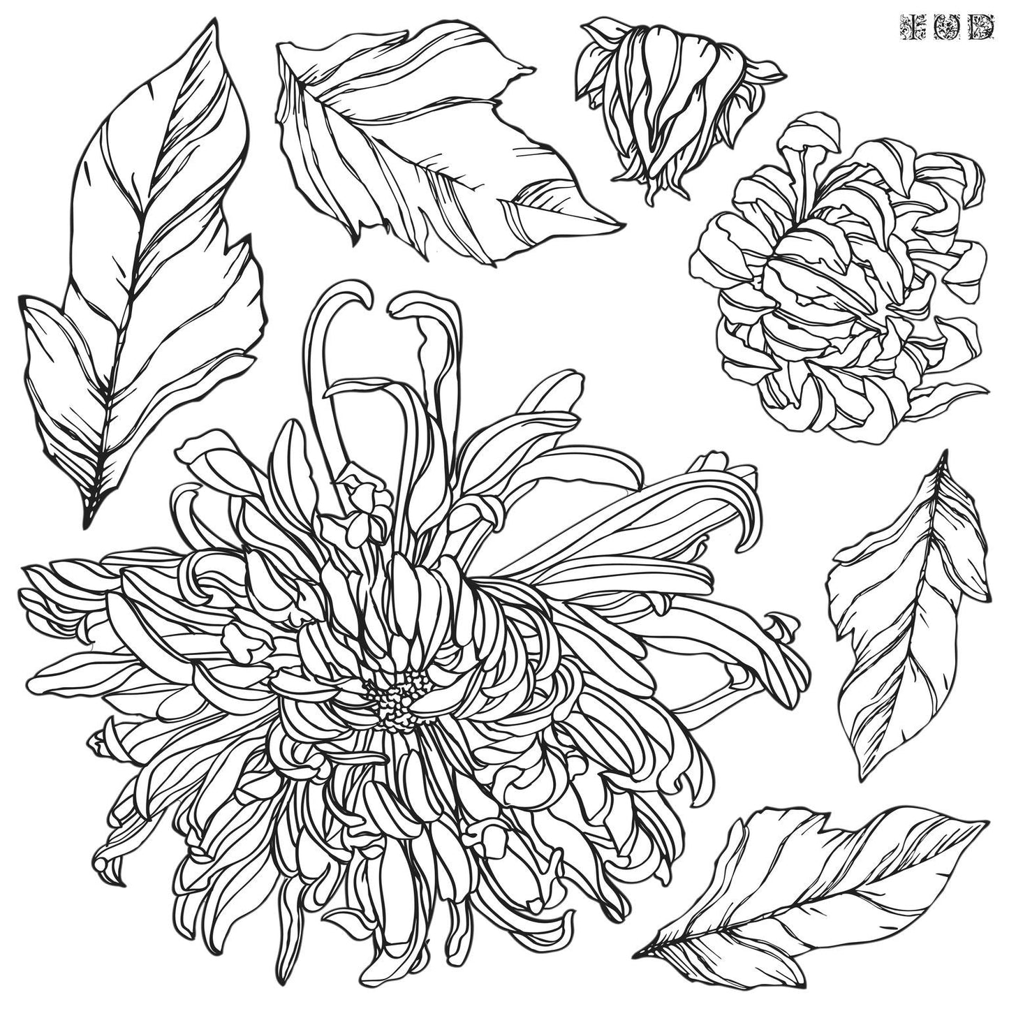 Chrysanthemum 12 X 12  IOD stamp 2 sheets - by Iron Orchid Designs