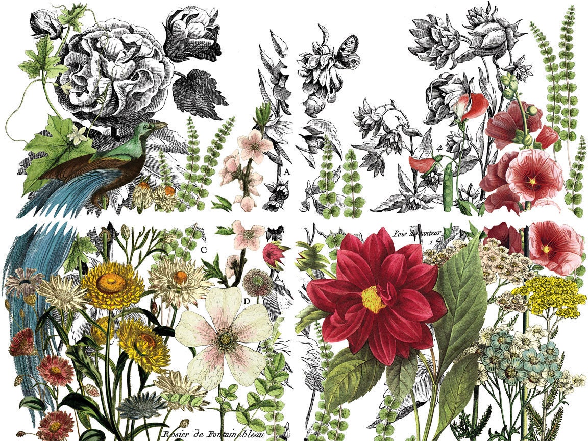 Midnight garden IOD Transfer Pad with (4) 12 X 16 Sheets by Iron Orchid Designs  Rub-On Furniture Transfer Decal