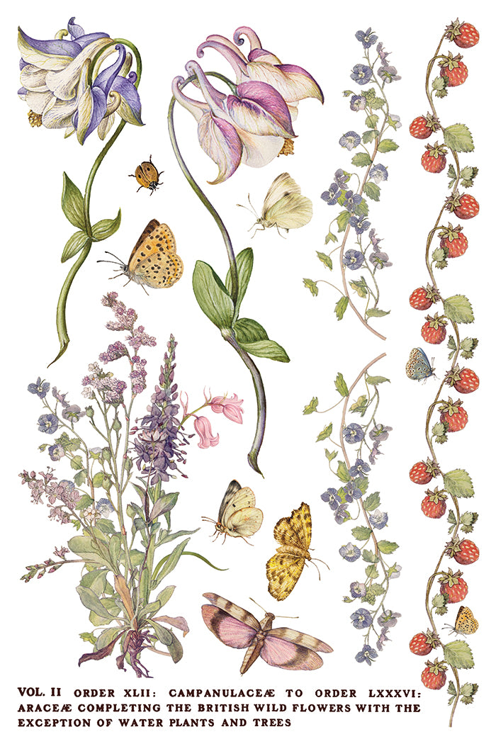 Primrose Isle IOD Transfer Pad with (8) 8 x 12 Sheets by Iron Orchid Designs Rub-On Furniture Transfer Decal - New Release