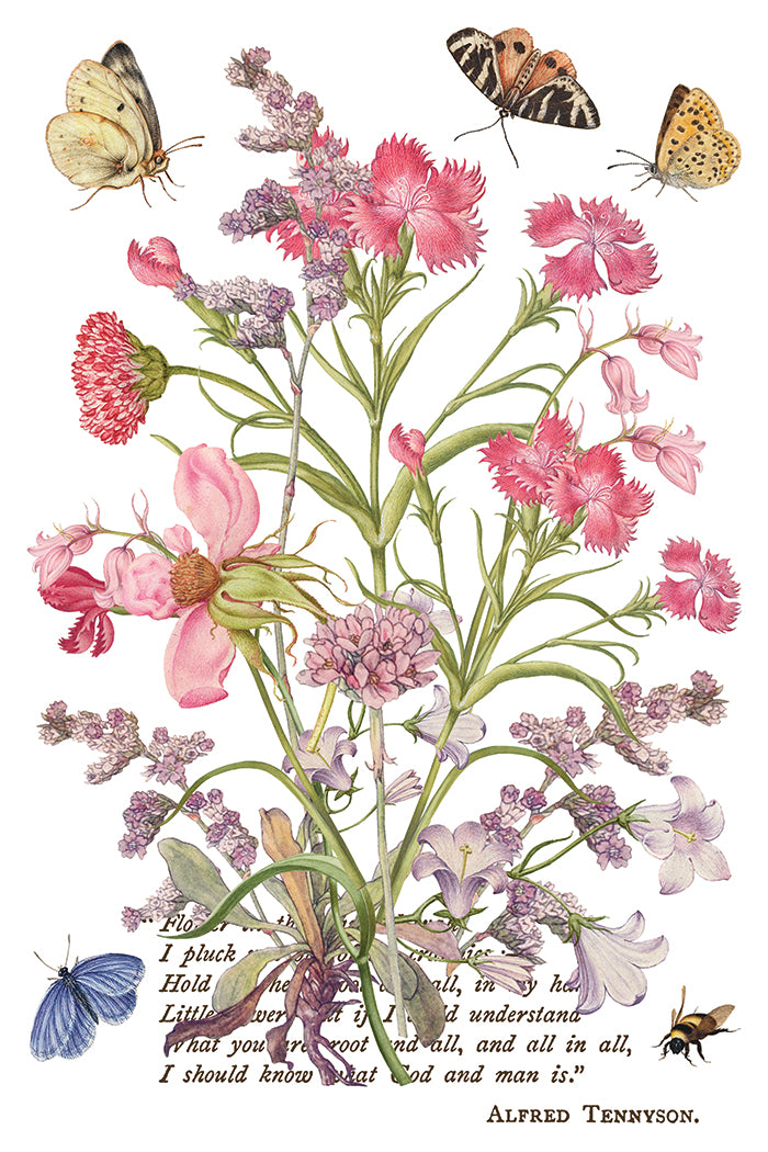 Primrose Isle IOD Transfer Pad with (8) 8 x 12 Sheets by Iron Orchid Designs Rub-On Furniture Transfer Decal - New Release