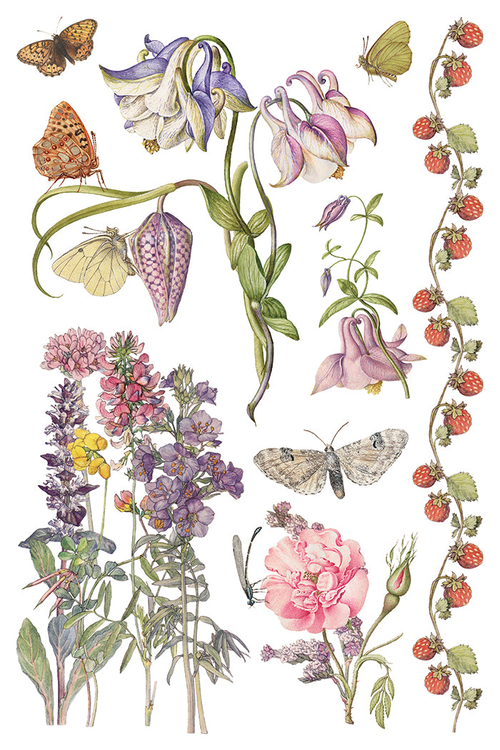 Primrose Isle IOD Transfer Pad with (8) 8 x 12 Sheets by Iron Orchid Designs Rub-On Furniture Transfer Decal - New Release