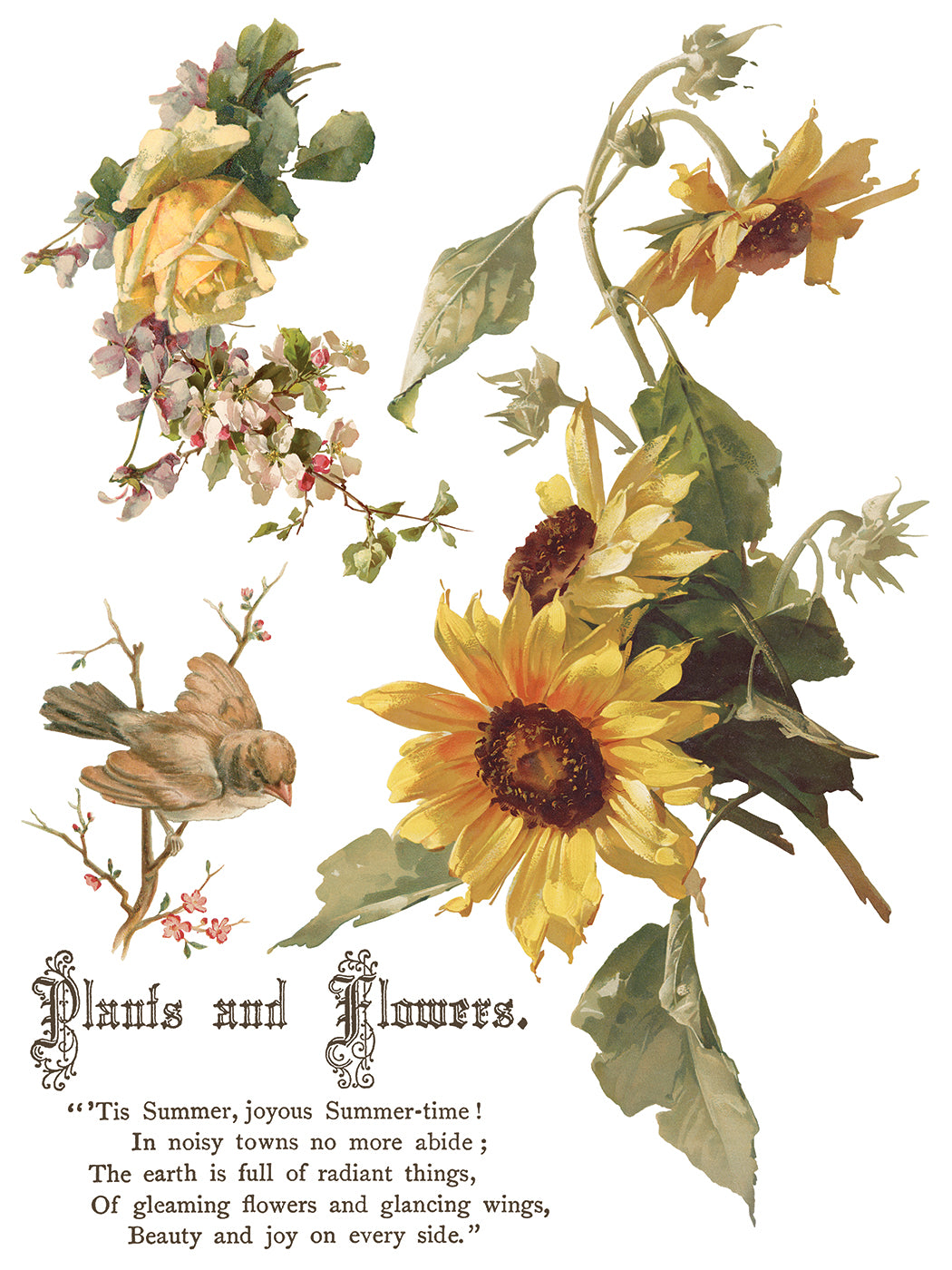 Flowers by the Poets IOD Transfer Pad with (8) 12 X 16 Sheets by Iron Orchid Designs Rub-On Furniture Transfer Decal