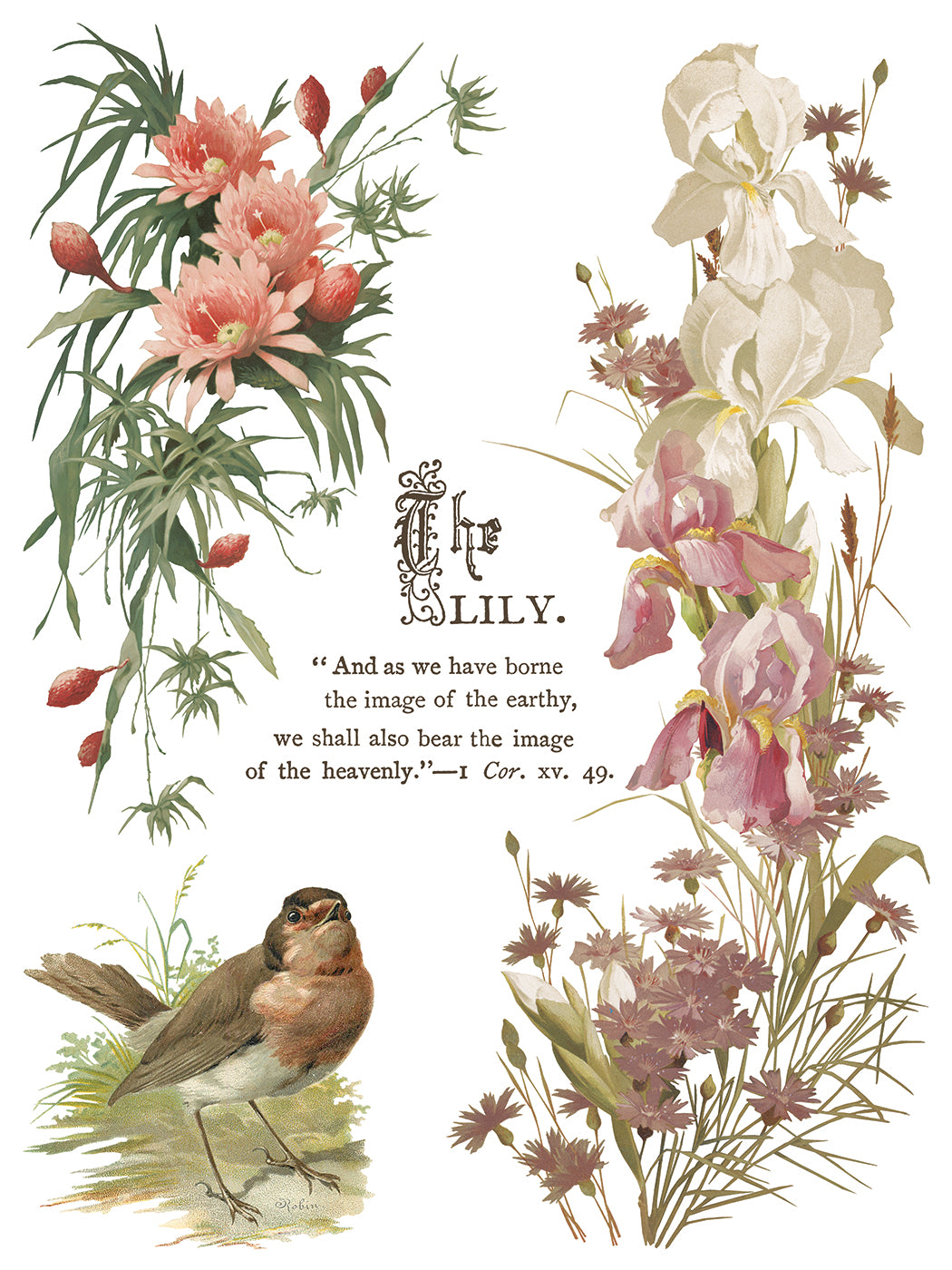 Flowers by the Poets IOD Transfer Pad with (8) 12 X 16 Sheets by Iron Orchid Designs Rub-On Furniture Transfer Decal