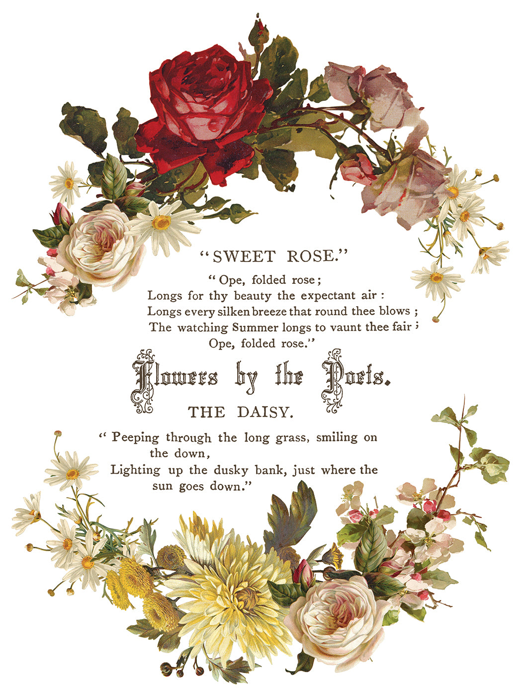 Flowers by the Poets IOD Transfer Pad with (8) 12 X 16 Sheets by Iron Orchid Designs Rub-On Furniture Transfer Decal