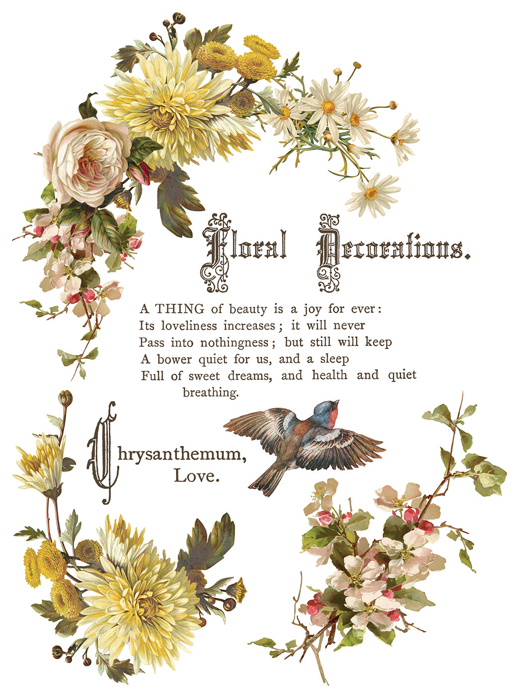 Flowers by the Poets IOD Transfer Pad with (8) 12 X 16 Sheets by Iron Orchid Designs Rub-On Furniture Transfer Decal