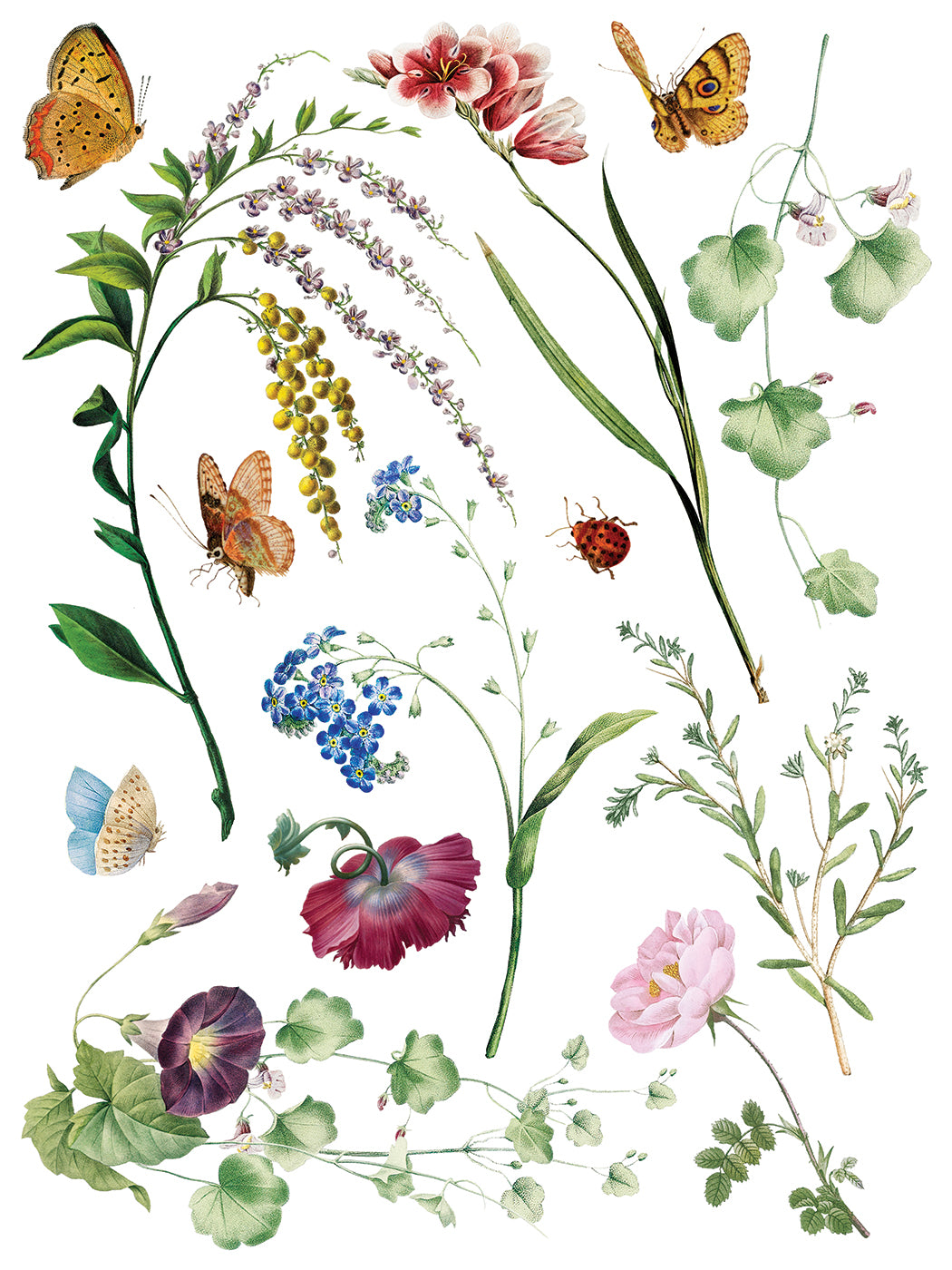 Marché des Fleurs IOD Transfer Pad with (8) 12 X 16 Sheets by Iron Orchid Designs Rub-On Furniture Transfer Decal