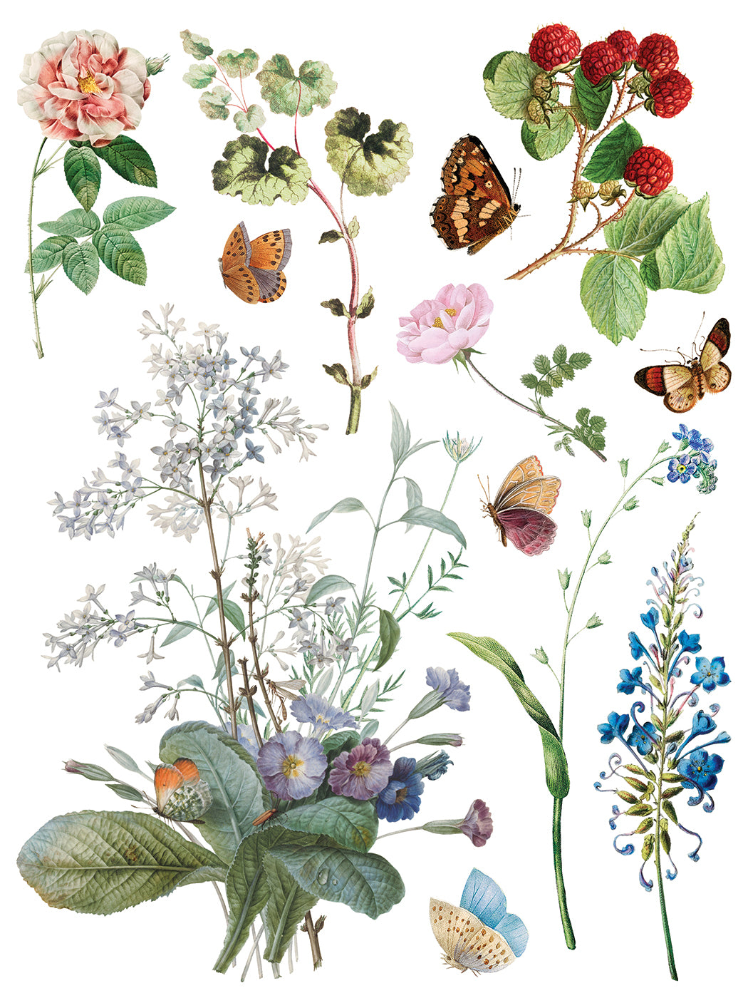 Marché des Fleurs IOD Transfer Pad with (8) 12 X 16 Sheets by Iron Orchid Designs Rub-On Furniture Transfer Decal