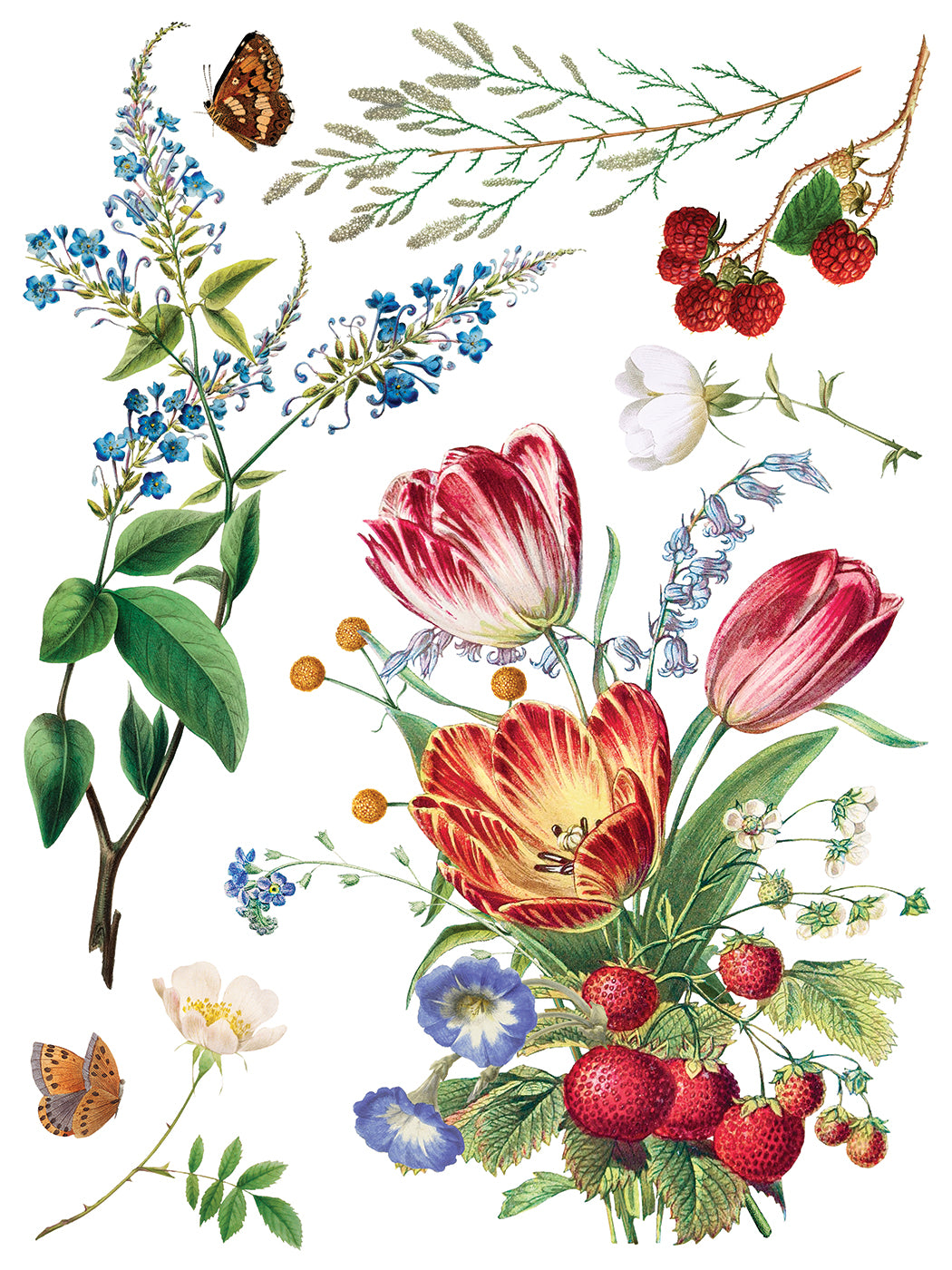 Marché des Fleurs IOD Transfer Pad with (8) 12 X 16 Sheets by Iron Orchid Designs Rub-On Furniture Transfer Decal