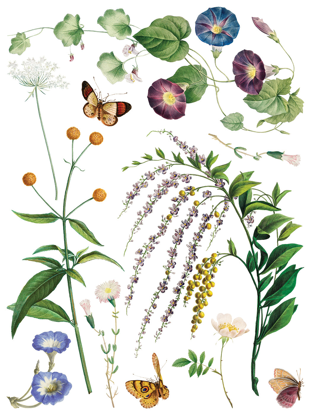 Marché des Fleurs IOD Transfer Pad with (8) 12 X 16 Sheets by Iron Orchid Designs Rub-On Furniture Transfer Decal