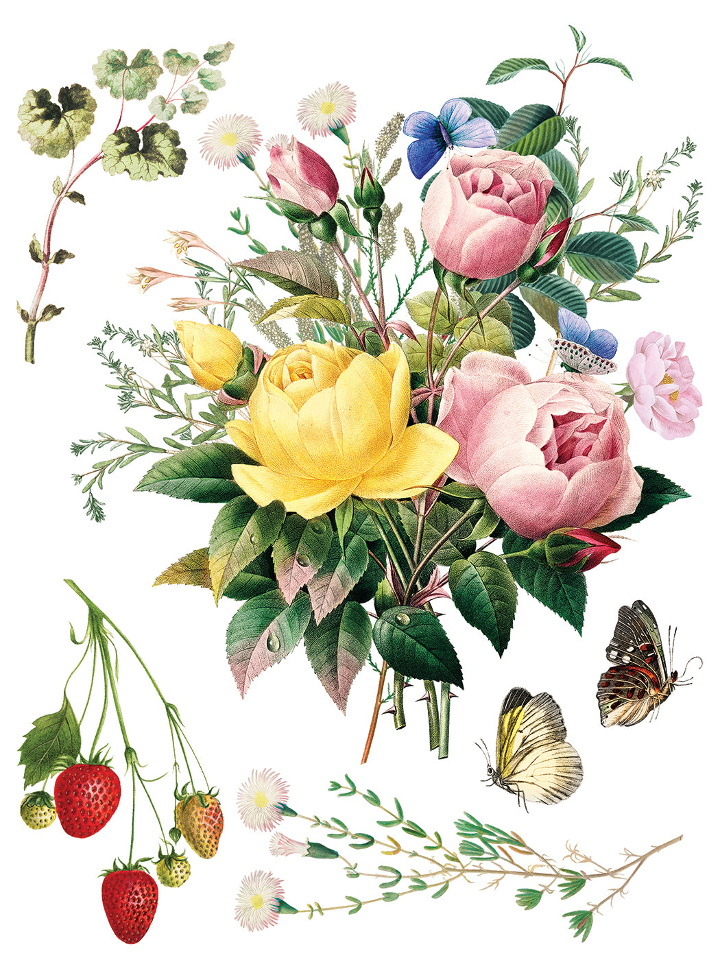 Marché des Fleurs IOD Transfer Pad with (8) 12 X 16 Sheets by Iron Orchid Designs Rub-On Furniture Transfer Decal