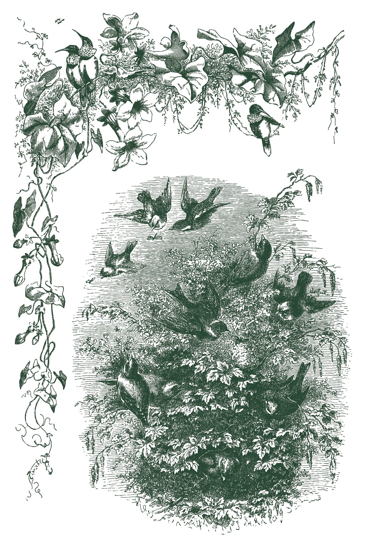 Little Lark IOD Paint Inlay by Iron Orchid Design (8) 8 X 12 Sheets Limited Release