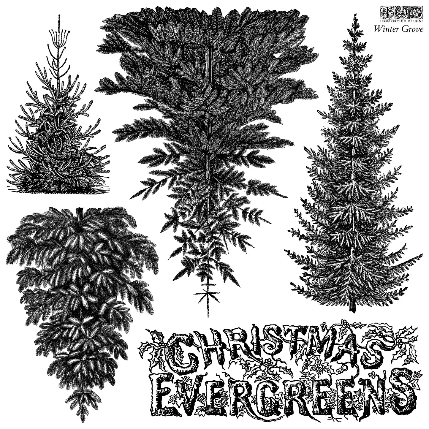 Winter Grove 12 x 12 IOD stamp - by Iron Orchid Designs - 2026 Limited Holiday Release
