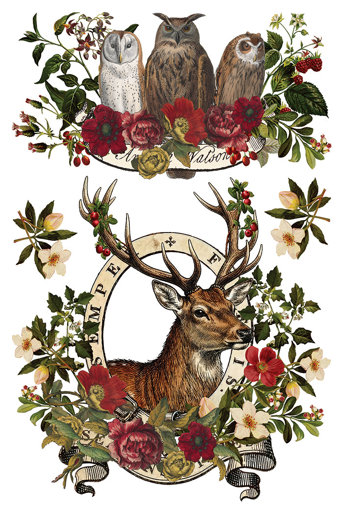 Stag Tavern IOD Transfer Pad with (8) 8 x 12 Sheets by Iron Orchid Designs Rub-On Furniture Transfer Decal - 2026 Limited Holiday Release
