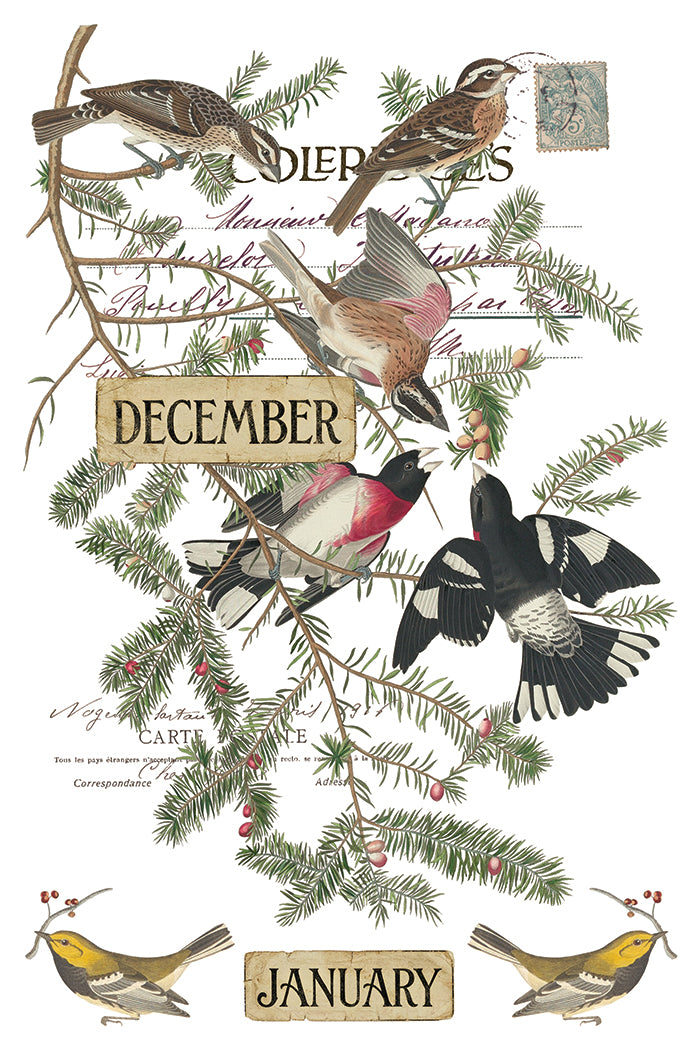 Winter's Calling IOD Transfer Pad with (8) 8 x 12 Sheets by Iron Orchid Designs Rub-On Transfer Decal - 2026 Limited Holiday Release