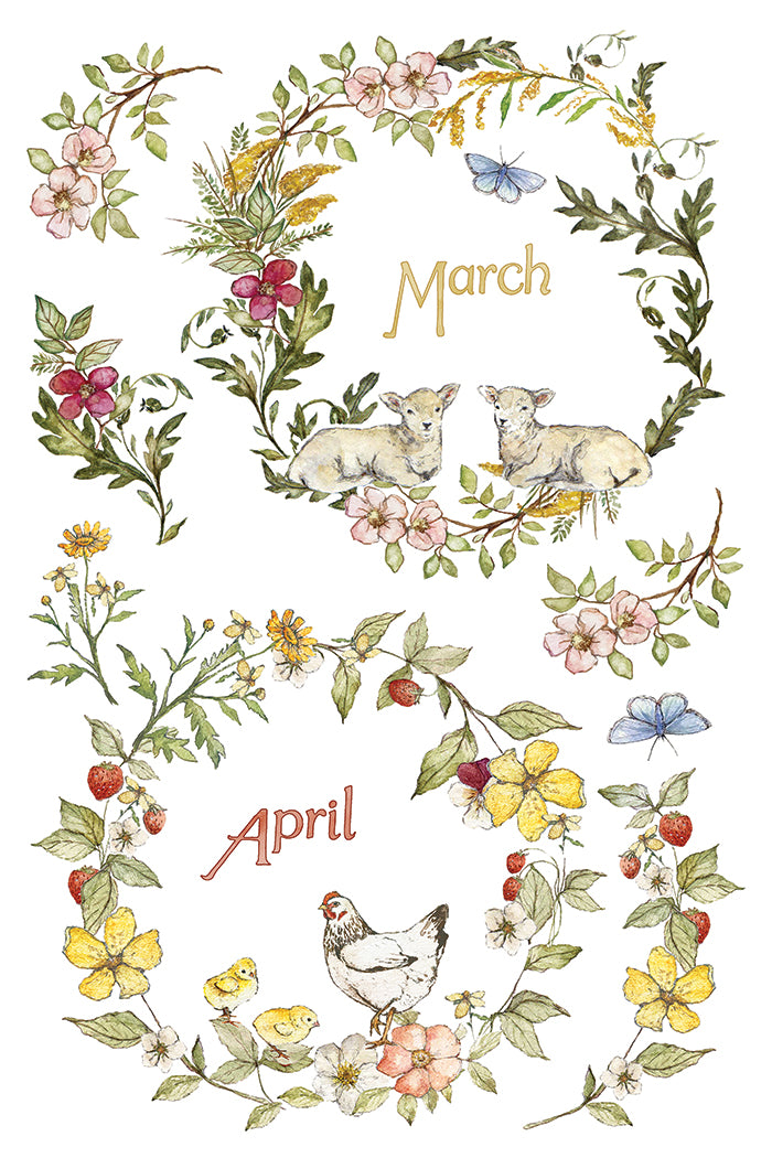 The Bramblewood Diaries IOD Transfer Pad (8) 8 x 12 Sheets by Iron Orchid Designs Rub-On Transfer Decal - 2026 Limited Holiday Release