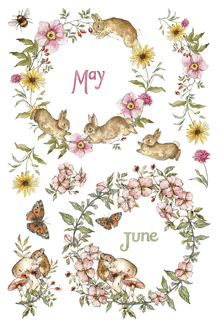 The Bramblewood Diaries IOD Transfer Pad (8) 8 x 12 Sheets by Iron Orchid Designs Rub-On Transfer Decal - 2026 Limited Holiday Release