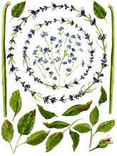 Painterly Floral IOD Transfer Pad with (8) 12 X 16 Sheets by Iron Orchid Designs Rub-On Furniture Transfer Decal