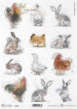 Farm Animals ITD Decoupage Rice Paper | Size A4 | 8.27x11.7 in | R1686