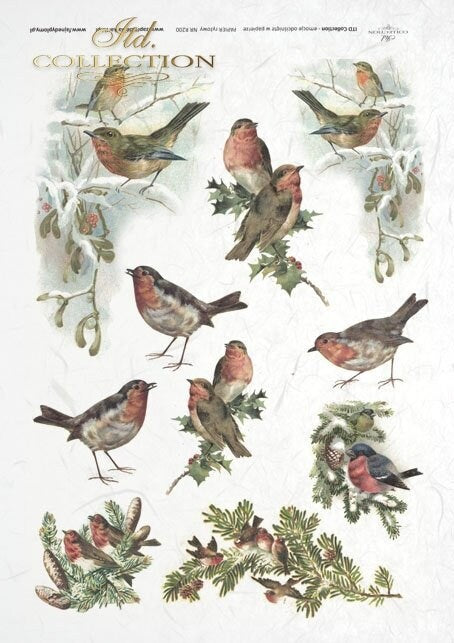 Cardinals evergreen ITD Decoupage Rice Paper | Size A4 | 8.27x11.7 in | R0200