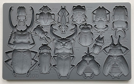 Specimens IOD décor mould 6 x 10 - by Iron Orchid Designs
