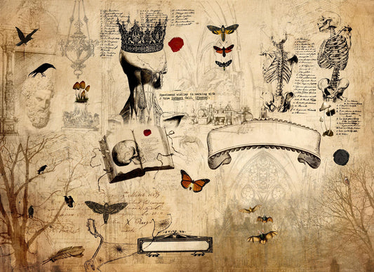 Roycycled Decoupage Paper | Dark Academia 20" x 30" Sheet