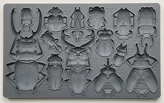 Specimens Only IOD décor mould 6 x 10 - by Iron Orchid Designs - New Release