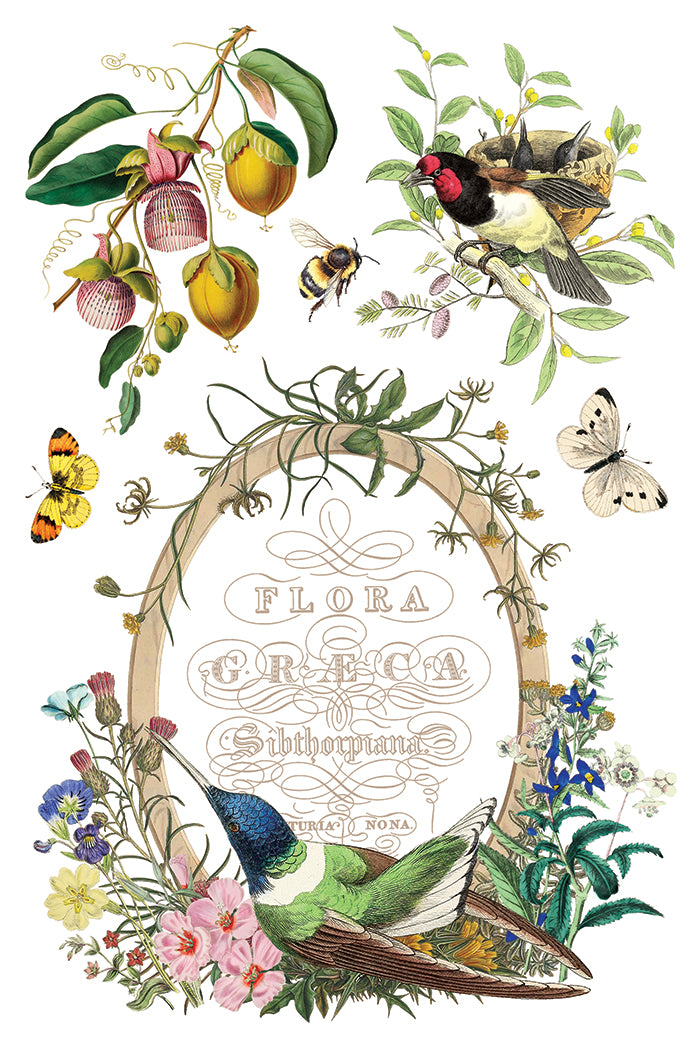 Flora Greca IOD Transfer Pad with (8) 8 x 12 Sheets by Iron Orchid Designs Rub-On Furniture Transfer Decal - New Release