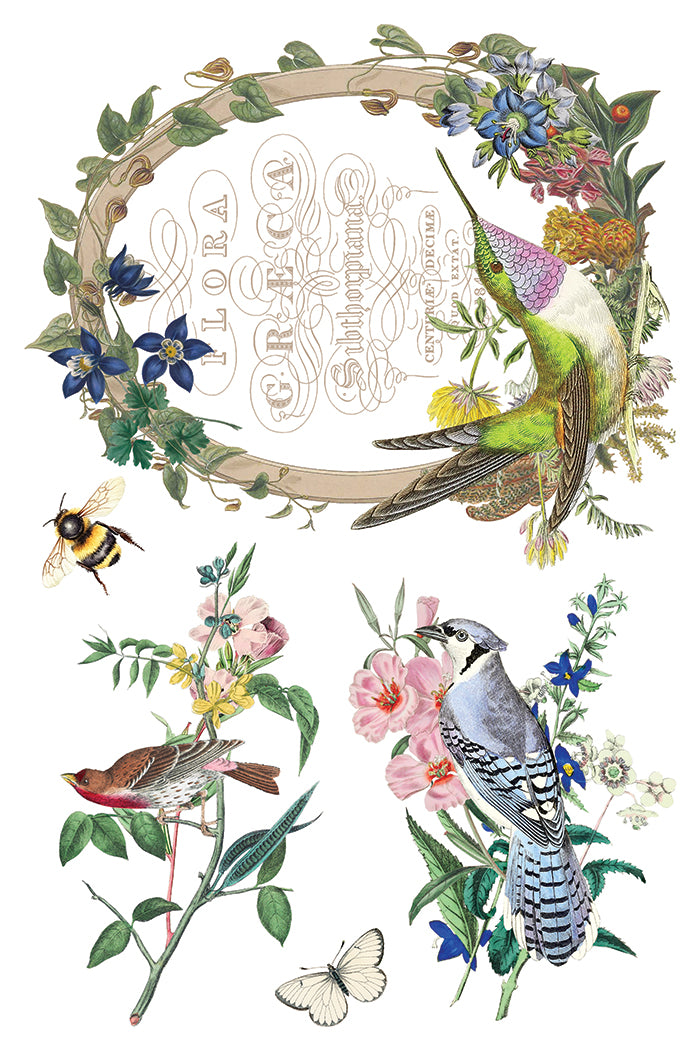 Flora Greca IOD Transfer Pad with (8) 8 x 12 Sheets by Iron Orchid Designs Rub-On Furniture Transfer Decal - New Release