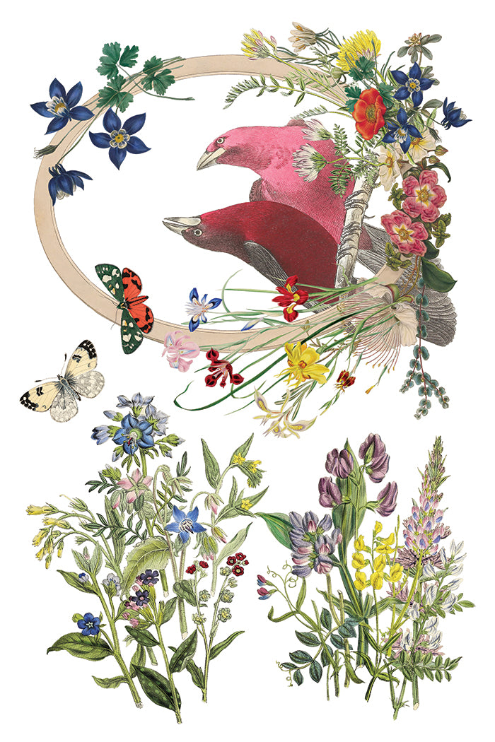Flora Greca IOD Transfer Pad with (8) 8 x 12 Sheets by Iron Orchid Designs Rub-On Furniture Transfer Decal - New Release