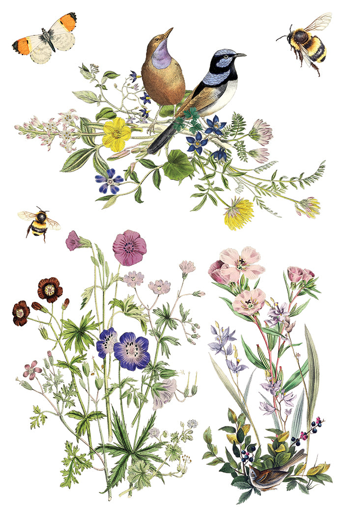 Flora Greca IOD Transfer Pad with (8) 8 x 12 Sheets by Iron Orchid Designs Rub-On Furniture Transfer Decal - New Release