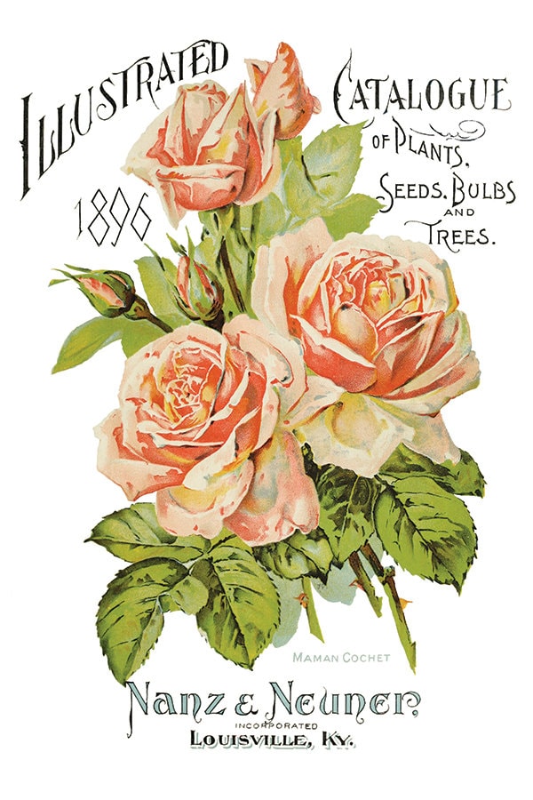 Ephemeral Melange IOD Transfer Pad with (8) 8 x 12 Sheets by Iron Orchid Designs Rub-On Furniture Transfer Decal