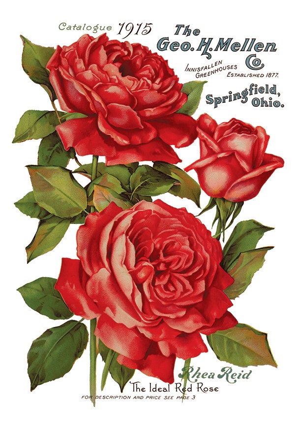 Ephemeral Melange IOD Transfer Pad with (8) 8 x 12 Sheets by Iron Orchid Designs Rub-On Furniture Transfer Decal