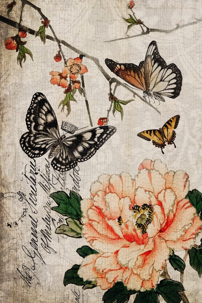 Roycycled Decoupage Paper | Butterfly Floral 20" x 29" Sheet