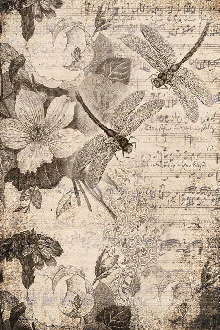 Roycycled Decoupage Paper | Musical Dragon Flies 20" x 29" Sheet