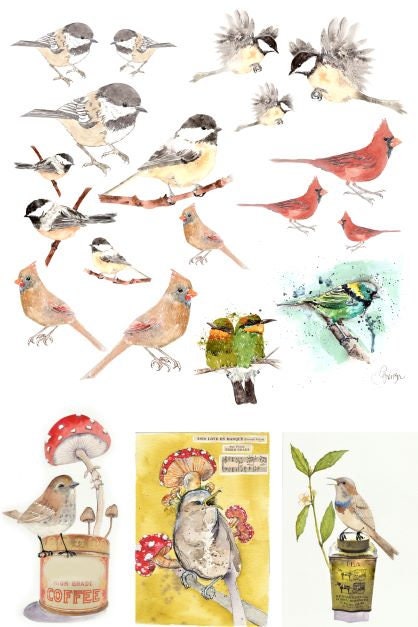 Roycycled Decoupage Paper | Catalog Of Birds By Lexi Grenzer 20" x 29" Sheet
