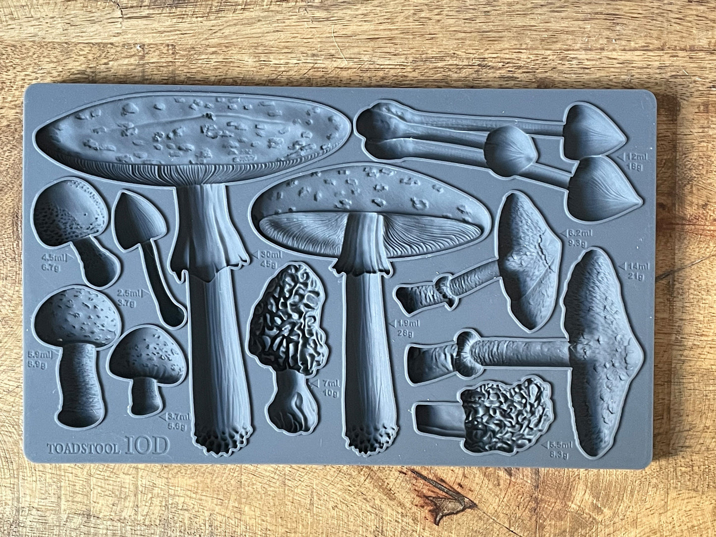 Toadstool IOD décor mould 6 x 10 - by Iron Orchid Designs