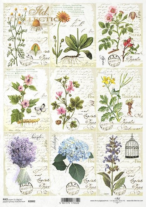 Herbarium miniatures ITD Decoupage Rice Paper | Size A4 | 8.27x11.7 in | R2082