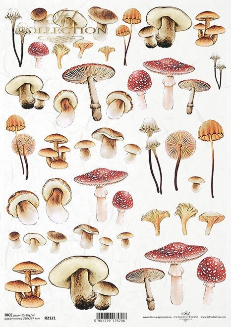 Mysterious forest - mushrooms ITD Decoupage Rice Paper | Size A4 | 8.27x11.7 in | R2121