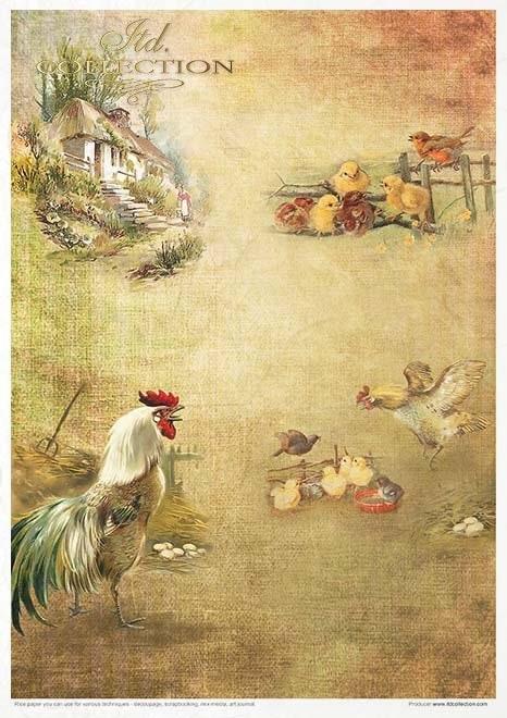 Spring Impressions ITD Collection decoupage paper |  11 sheets of rice paper A4 (8.27x11.7in) - RP051