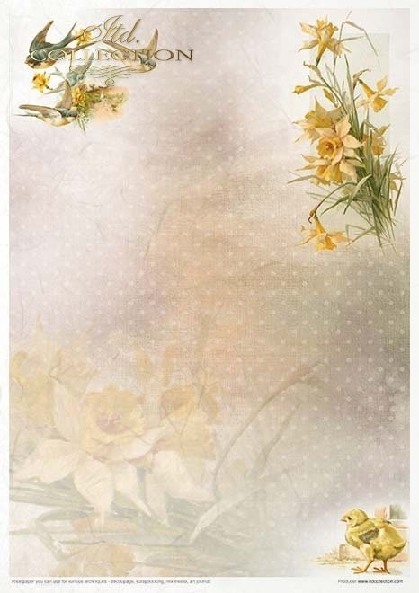 Spring Impressions ITD Collection decoupage paper |  11 sheets of rice paper A4 (8.27x11.7in) - RP051