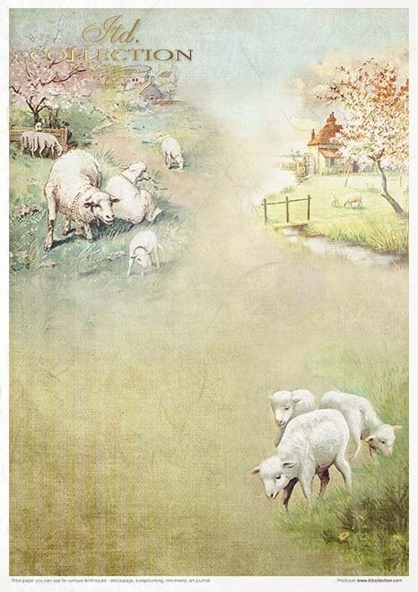 Spring Impressions ITD Collection decoupage paper |  11 sheets of rice paper A4 (8.27x11.7in) - RP051