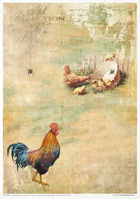 Spring Impressions ITD Collection decoupage paper |  11 sheets of rice paper A4 (8.27x11.7in) - RP051