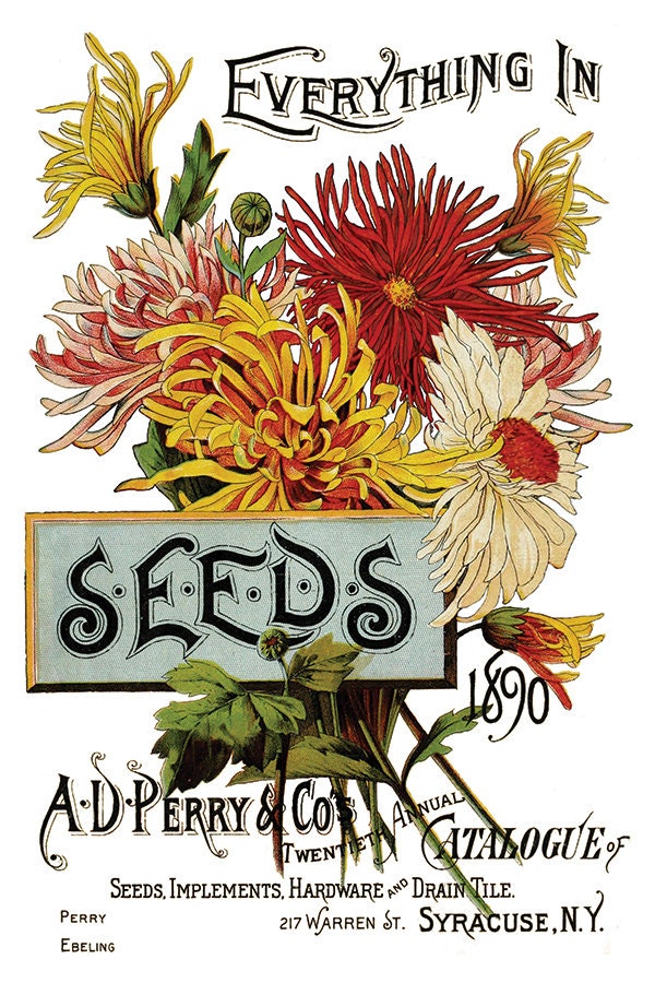 Seed Catalogue IOD Transfer Pad with (8) 8 x 12 Sheets by Iron Orchid Designs Rub-On Furniture Transfer Decal