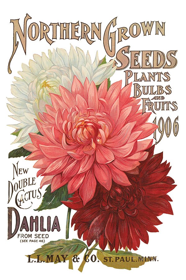 Seed Catalogue IOD Transfer Pad with (8) 8 x 12 Sheets by Iron Orchid Designs Rub-On Furniture Transfer Decal