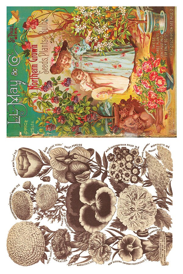 Seed Catalogue IOD Transfer Pad with (8) 8 x 12 Sheets by Iron Orchid Designs Rub-On Furniture Transfer Decal