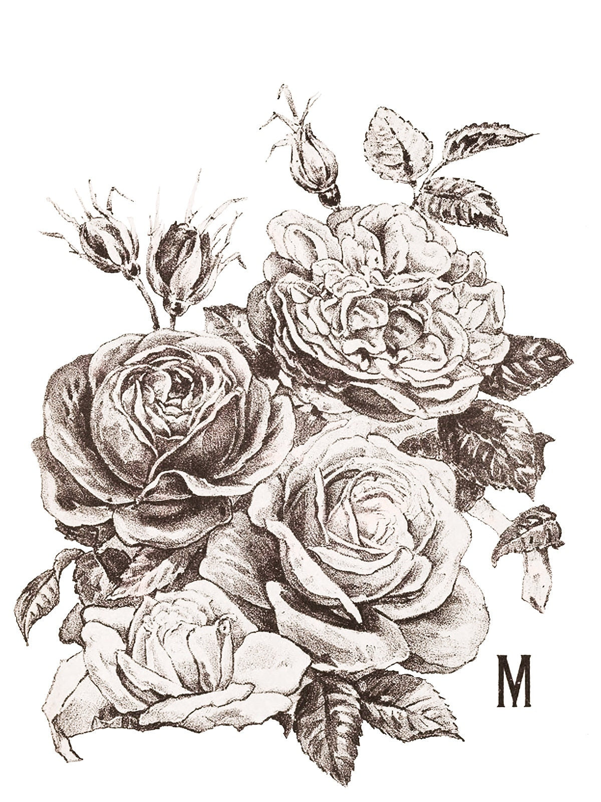 Mays Roses IOD Transfer Pad with (4) 12 X 16 Sheets by Iron Orchid Designs  Rub-On Furniture Transfer Decal
