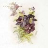 spring flowers lilacs tulips ITD Decoupage Rice Paper | 6 (6x6 in sheets) 6 designs in pack | RSM072