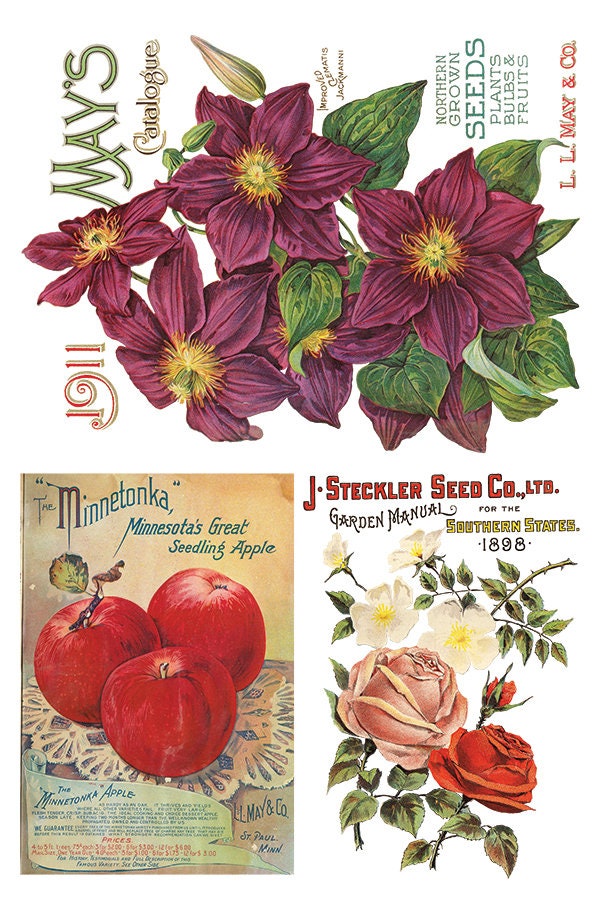 Seed Catalogue IOD Transfer Pad with (8) 8 x 12 Sheets by Iron Orchid Designs Rub-On Furniture Transfer Decal